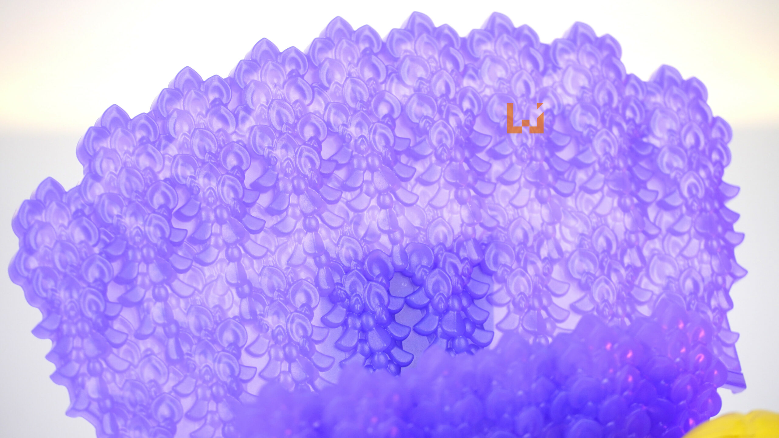 让可爱的鬼杀队主角们扛着Switch吧！《鬼灭之刃 火之神血风谭》限定版开箱！